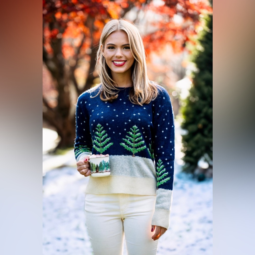 Kiel James Patrick Navy and Cream Winter Sweater
